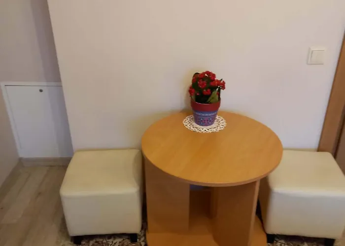 Ramybes Sala Πανσιόν Παλάγκα