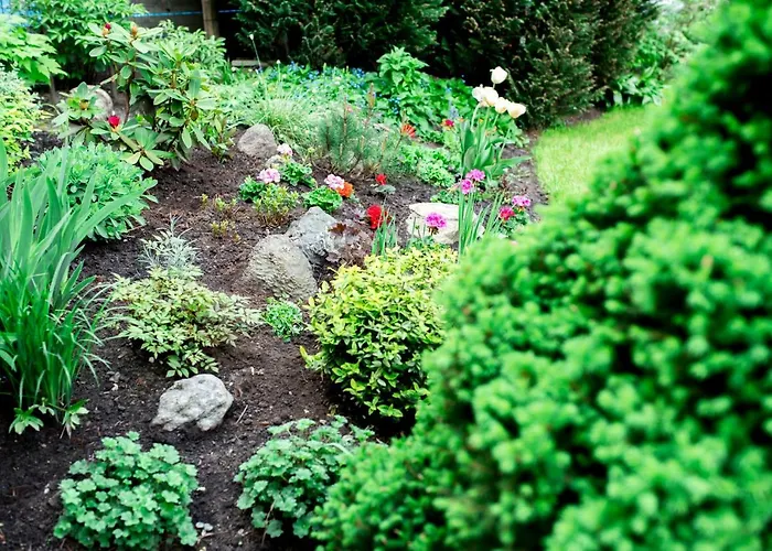 Gasthuis Ramybes Sala 3*