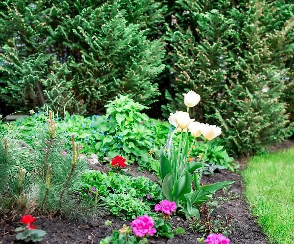 Πανσιόν Ramybes Sala 3*